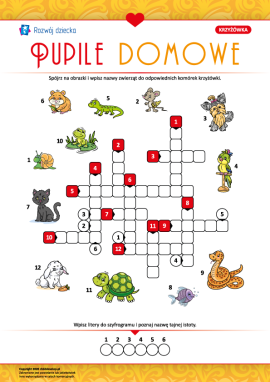 Krzyżówka „Pupile domowe”