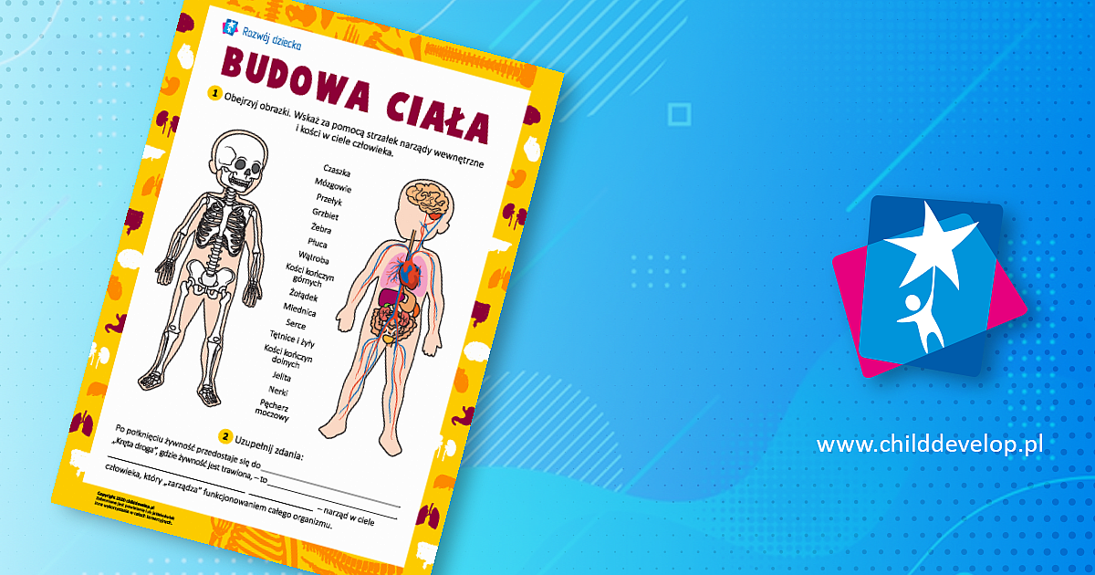 Uczymy się budowy ciała człowieka – do druku karty pracy Zdrowie i