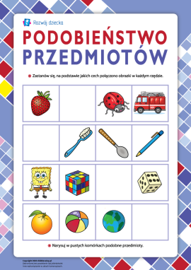 Podobieństwo przedmiotów: określamy istotne cechy