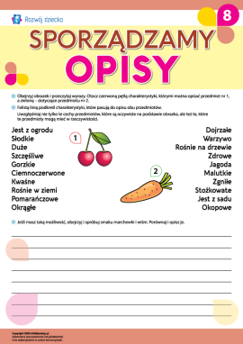 Uczymy się sporządzania opisów nr 8