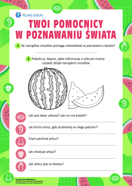 Twoi pomocnicy w poznawaniu świata: narządy zmysłów