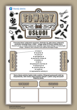 Uczymy się rozróżniania towarów i usług