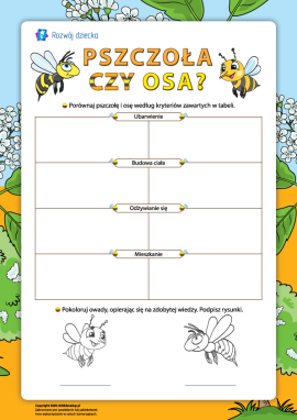 Pszczoła czy osa: uczymy się porównywania